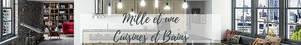 MILLE ET UNE CUISINES - ARTISAN CUISINISTE A TOURS (37)